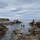 산희네횟집 이미지