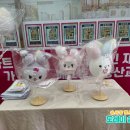 경희대 석사 바른태권도 이미지