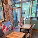 인투캣츠 이미지