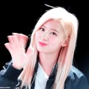 [트와이스] 사나 움짤 모음.gif 이미지