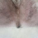 태안동물병원 이미지