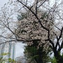 행정용 9 | 교육행정직 9급 국가직 시험 후기, 어려웠던 행정법