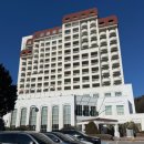 진고개가든 | 두돌 아기랑 평창 켄싱턴호텔 1박2일 총정리 | 눈썰매·동물먹이주기·키즈룸 후기