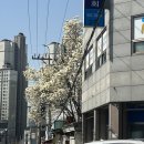 UR(광주광역시)-[제석로]-하-4 | 3월 일상#4,다시 운동시작이야🏋🏻‍♀️[미화닭발/벋김치찜/탕화쿵푸/태양휘트니스/핸드메이드공방소꿉/만찬...