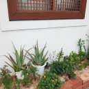 용궁다원 이미지