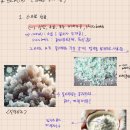 영산대학교 미용·예술대학원 | 왁싱 후 관리 전용 스크럽, "제발 좀" 알고 사자 딱 2가지 (26년 최신화)