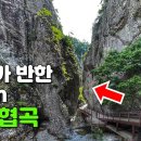 한국에 이런곳이! 세계적인 10km 화산 절경 트레킹 코스 | 대중교통 당일치기 여행 이미지