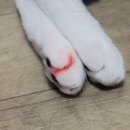 [240501-0525] 돈이 있었는데 .. 없습니다?