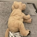 시카고 게임랜드 | 서면브라질리언왁싱 라벨라왁싱 부산서면점