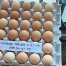 초방리흑염소 - 광산구 하남울로12번하길 15 | 초방리흑염소