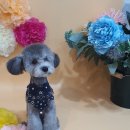 제이앤제이그루밍 이미지