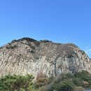 거미대문 | 제주 산방산 숙소 산방산뷰 돌담 감성숙소 온담 큰채 2박 후기