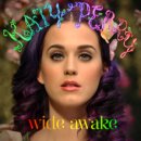 Katy Perry - Wide Awake 이미지