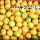 윤이네농장