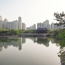 분당-272 이미지