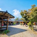 다금식당 이미지