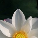 백연농장 이미지