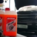 (스포티지R) MOTUL 이누겔 냉각수 교환 이미지