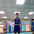 복싱바이러스 이미지