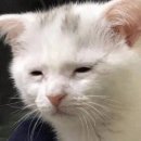 동수원병원 앞 | ② 난소 혹 / 동수원 병원 산부인과 방문 후기