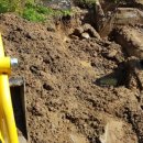 여주-0981 이미지