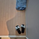 [10/11] 프리저브드 플라워 미니센터피스 - 원데이 클래스 | 부산 해운대원데이클래스 앙금 플라워 떡케이크 수공방 원데이클래스 후기