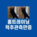 척추순환운동센터