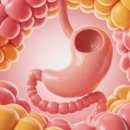 신체의 열매 | 은행 열매 효능 알아보기