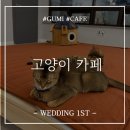 예뻐질 : 개 네이버블로그