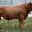 한우나라 이미지