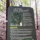 청계골 | 저질체력 청계산 원터골~청계골 등산 후기