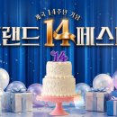 알파의류