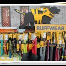 제주 헬로우펫 이미지