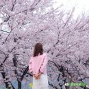 강산세탁 이미지