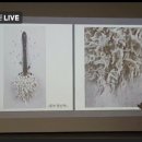 우리시대 현대미술이야기 이미지