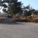 혼불문학관 Daum카페