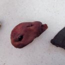 나미테이블 이미지