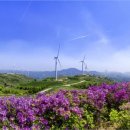 서광축산 이미지