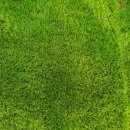 그린화장품 이미지