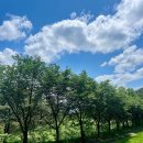 호정커피숍 이미지