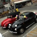 부라더카 이미지