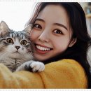 펫퍼스트 24시 강아지분양 고양이분양 네이버블로그