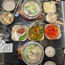 서울깍두기 - 음성군 시장로 19 | 광주 봉선동 삼계탕 맛집 서울깍두기 방문 후기