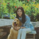 몽글몽글 이미지