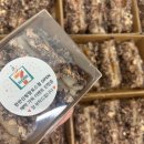 또바트유치원 이미지