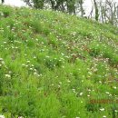 수도119군포점 이미지