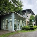 진진토탈 이미지