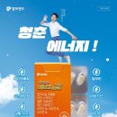 팜프렌즈