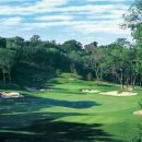 제이드팰리스 골프클럽 이미지