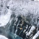 추억의 그림자 | [일본/삿포로] 삿포로 겨울여행 흰그림자투어 일일버스투어 후기